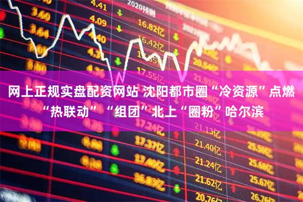 网上正规实盘配资网站 沈阳都市圈“冷资源”点燃“热联动” “组团”北上“圈粉”哈尔滨